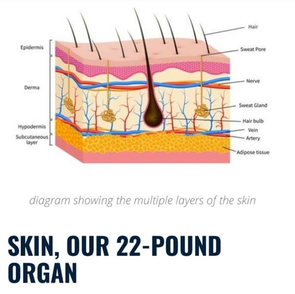 Island Citrus with Sage Bath Bombs - Picture 13 of 14